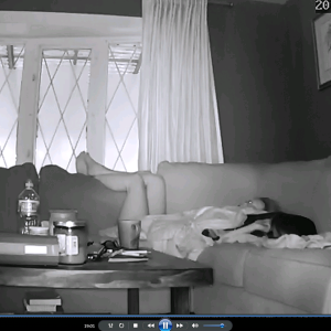 0023-Mature woman masturbating on a sofa, captured by a home surveillance camera