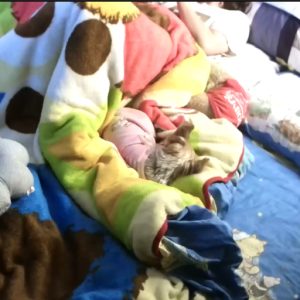 0362- IPCAM ASIAN girl masturbation on bed